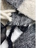 Acne Studios Green Scarf One size - photo 4