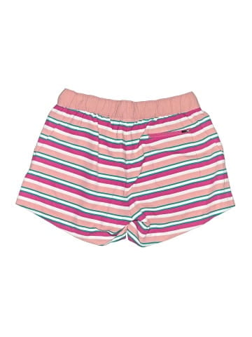 The North Face Shorts (view 2)