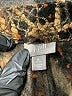 J.Jill Animal Print Brown Coat Size Med Petite - photo 6