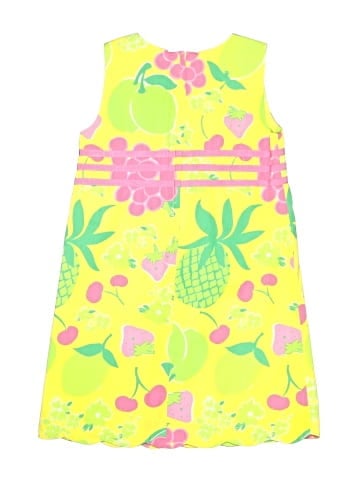 Lilly Pulitzer Dress (view 2)