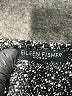 Eileen Fisher 100% Cotton Metallic Gray Pullover Sweater Size XL (estimated) - photo 7