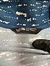 The North Face 100% Polyester Blue Cardigan Size M - photo 7
