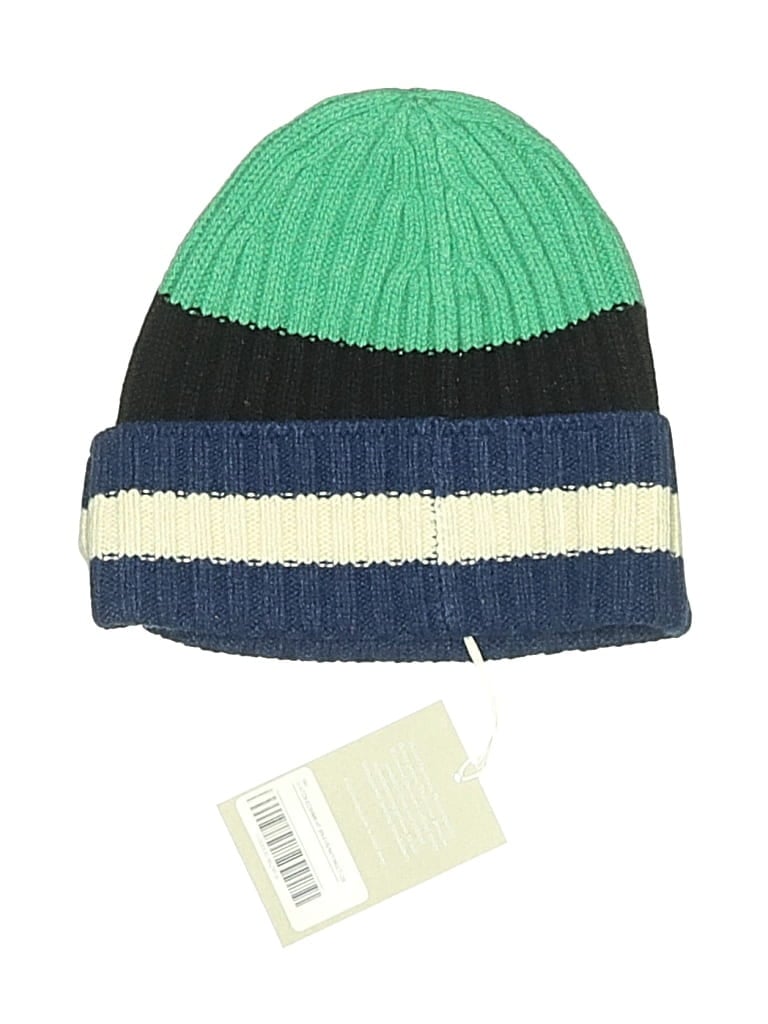 Everlane Beanie Hat In Green
