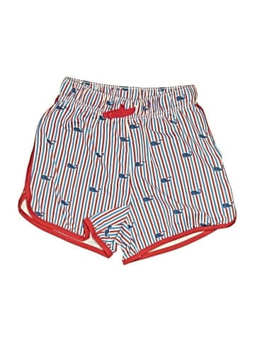 Vineyard Vines Athletic Shorts (view 1)