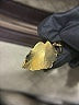 Gucci Black Satchel One size - photo 10