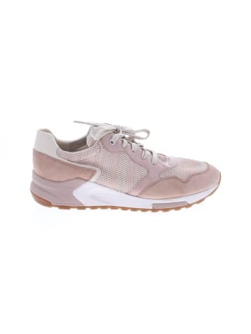 GEOX Sneakers (view 1)