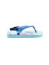 Havaianas Blue Flip Flops Size EU 21 (baby) - photo 1