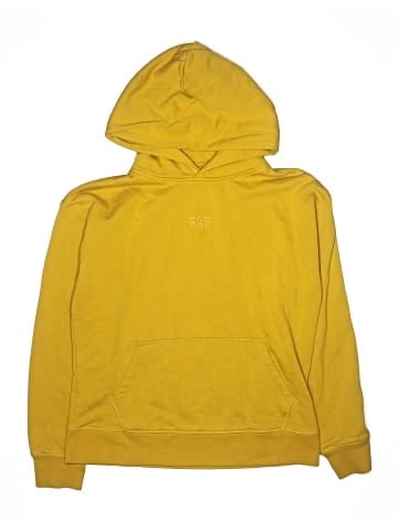 Gap Kids Pullover Hoodie (view 1)