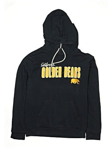 Champion Pullover Hoodie (view 1)