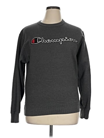Champion Sweatshirt (view 1)