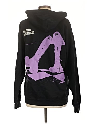 Outdoor Research Zip Up Hoodie (view 2)