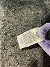 BP. Solid Purple Shorts Size L - photo 4