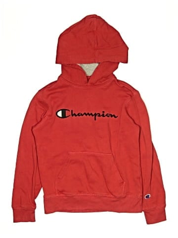 Champion Pullover Hoodie (view 1)