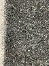 colsie Animal Print Ivory Shorts Size M - photo 4