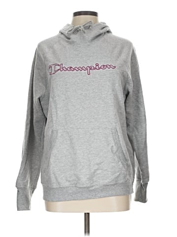 Champion Pullover Hoodie (view 1)