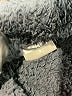 32 Degrees 100% Polyester Black Cardigan Size M - photo 7