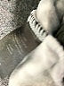 32 Degrees Animal Print Gray Pullover Sweater Size S - photo 8
