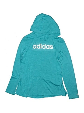 Adidas Pullover Hoodie (view 1)