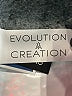 Evolution and Creation Print Silver Ivory Leggings Size M - photo 9