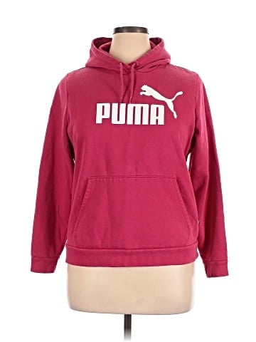Puma Pullover Hoodie (view 1)