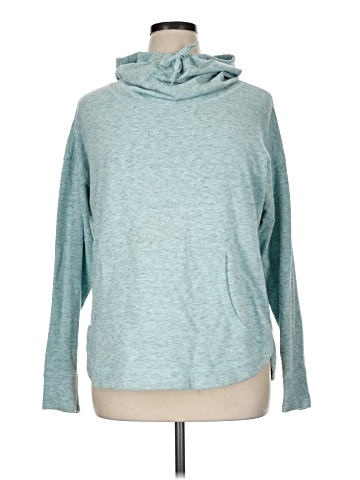 Champion Sweatshirt (view 1)