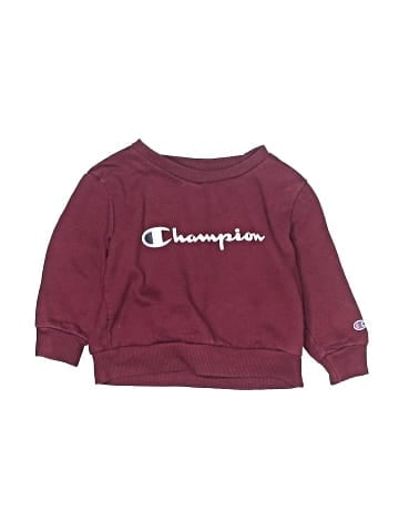 Champion Sweatshirt (view 1)