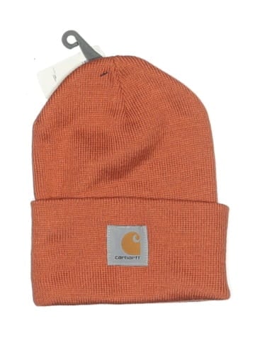 Carhartt Beanie (view 1)