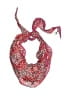 Echo Paisley Pink Scarf One size - photo 1