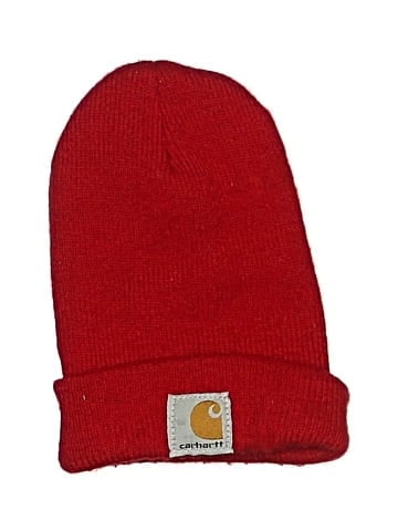 Carhartt Beanie (view 1)