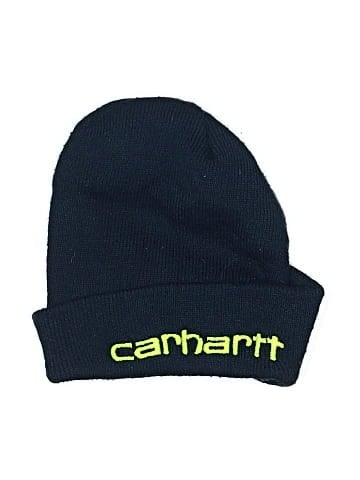 Carhartt Beanie (view 1)