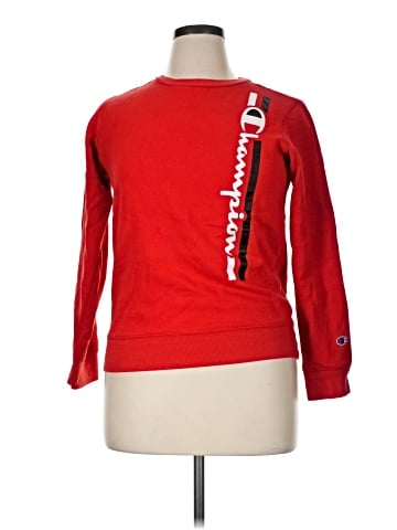 Champion Sweatshirt (view 1)