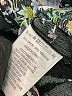 Rolla's Floral Black Long Sleeve Blouse Size M - photo 8