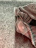 Aspire Gray Cardigan Size M - photo 4