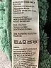 Eddie Bauer 100% Polyester Green Turtleneck Sweater Size S - photo 8