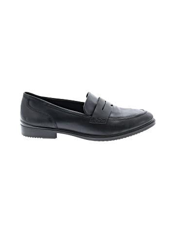 Ecco Flats (view 1)