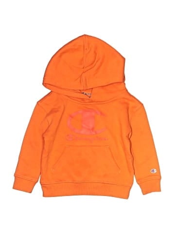 Champion Sweatshirt (view 1)