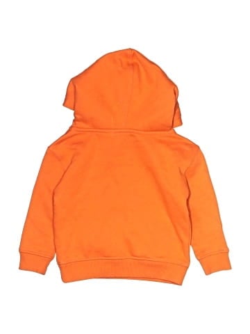 Champion Sweatshirt (view 2)