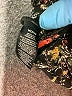 Sam Edelman Black Kimono Size M - photo 8