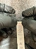 Scorpio Sol Animal Print Black Gray Leggings Size M - photo 8
