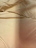 Love Tree 100% Polyester Ivory White Vest Size L - photo 6