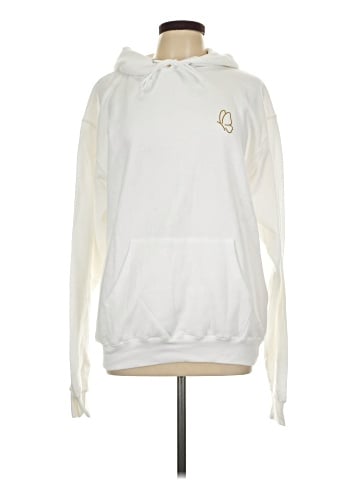 Champion Pullover Hoodie (view 1)
