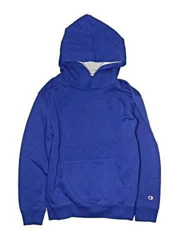 Champion Pullover Hoodie (view 1)