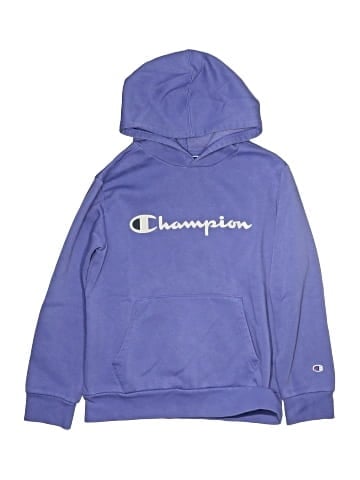 Champion Pullover Hoodie (view 1)