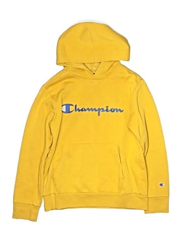 Champion Pullover Hoodie (view 1)