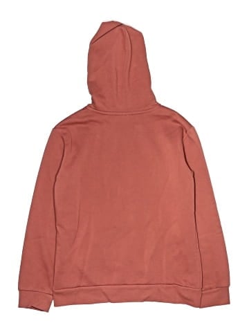 Champion Pullover Hoodie (view 2)