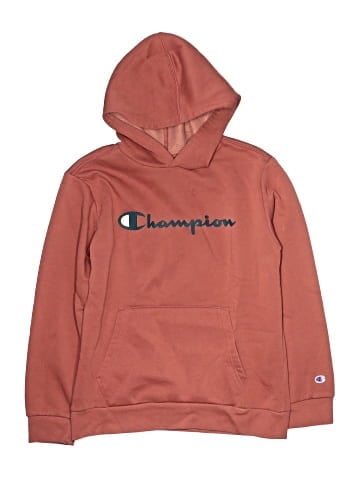 Champion Pullover Hoodie (view 1)