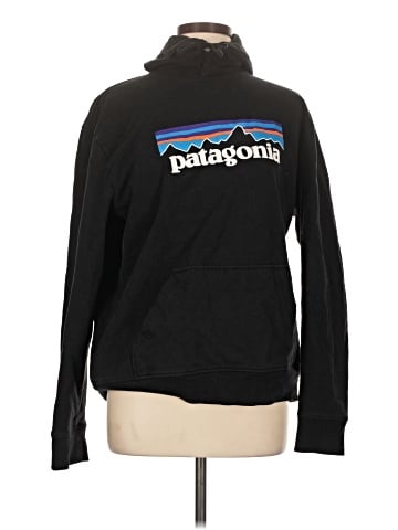 Patagonia Pullover Hoodie (view 1)