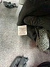 DressBarn Tweed Gray Coat Size 1X - photo 7