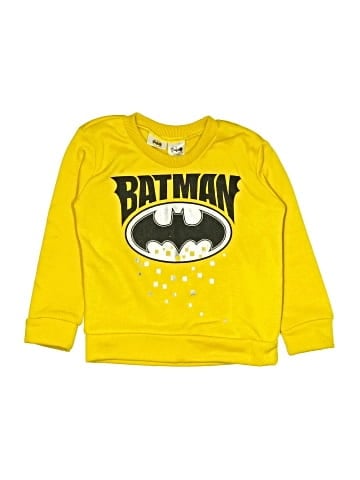 Batman Sweatshirt (view 1)