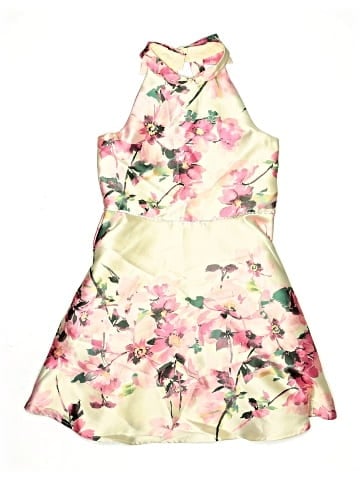 Zunie Dress (view 1)